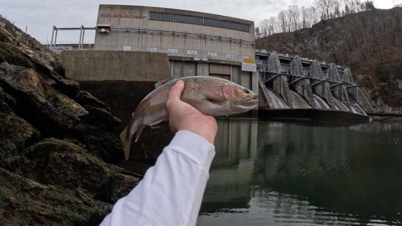 Catching a tank below the dam! #fishing #troutfishing #outdoors