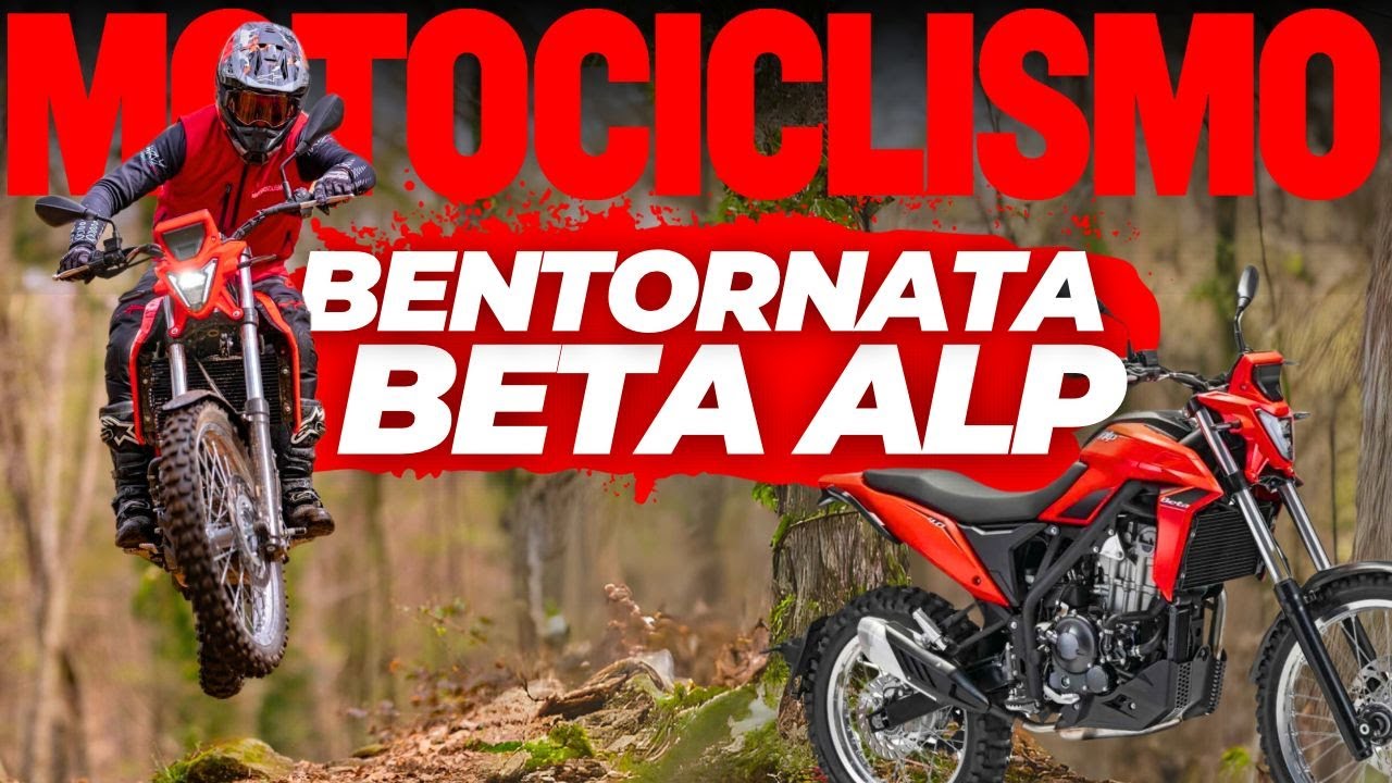 Test Beta Alp 4.0 2024