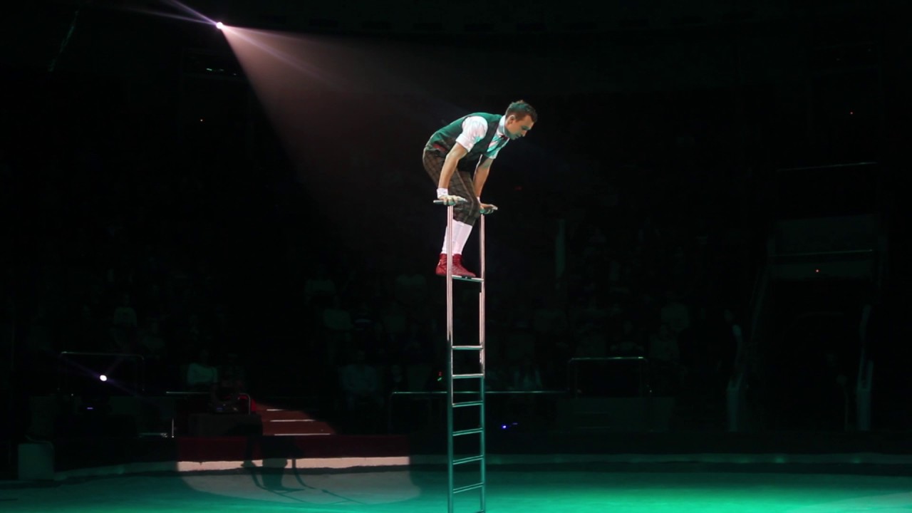 Roman Munin Free stand ladder 2017