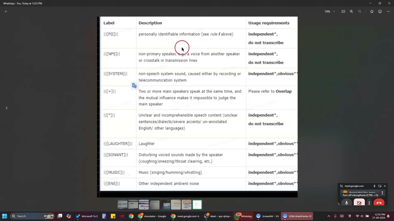 Magic Data Transcription Platform Training video