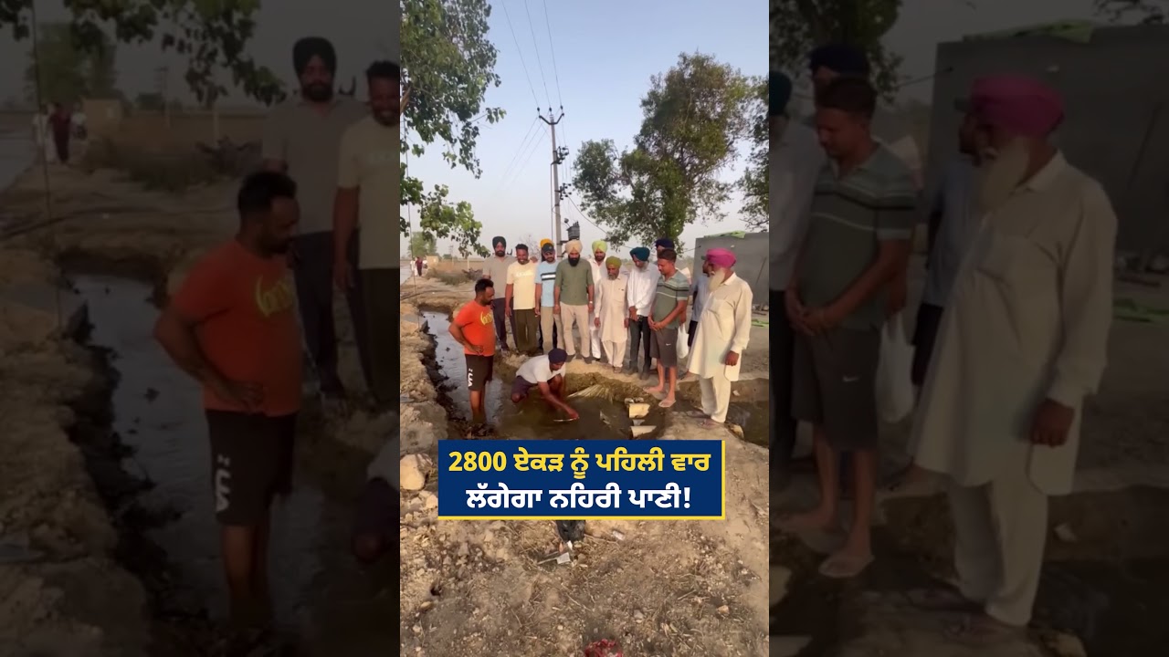 #bhagwantmann #aappunjab #arvindkejriwal #aap #punjab #punjabi #aamaadmi #chandigarh #revolution