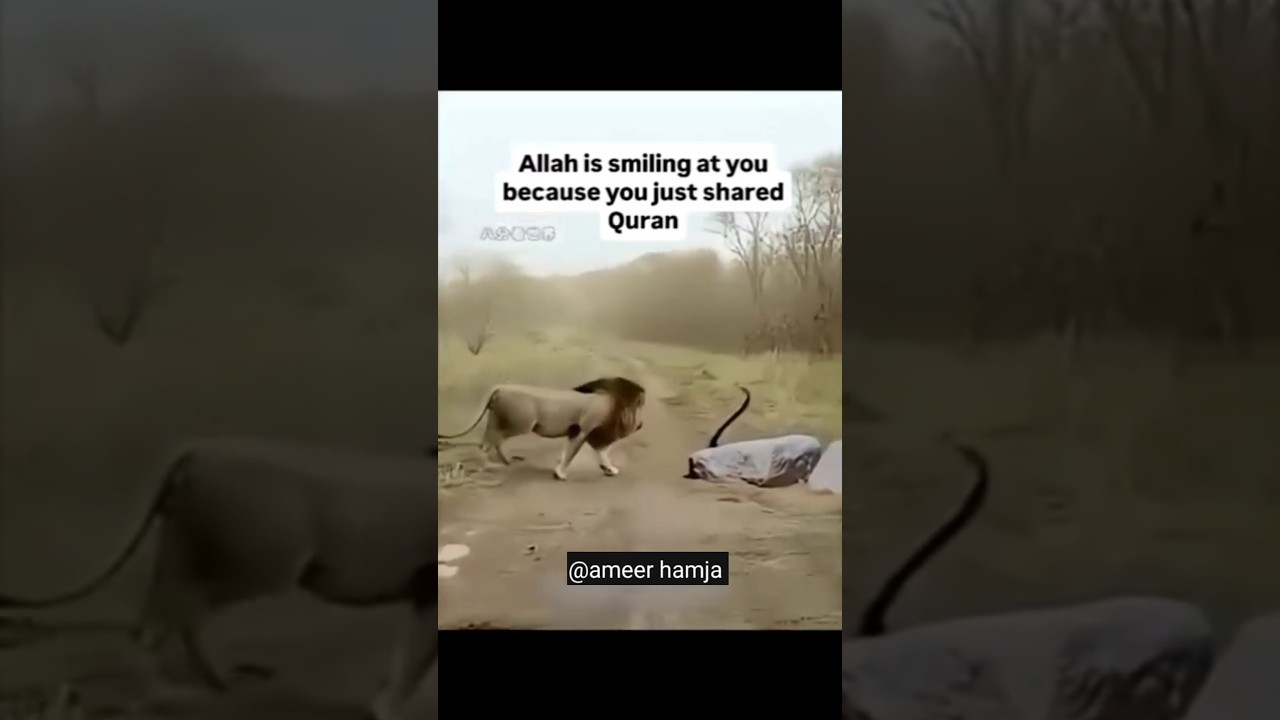 🥹Every saul will test death 