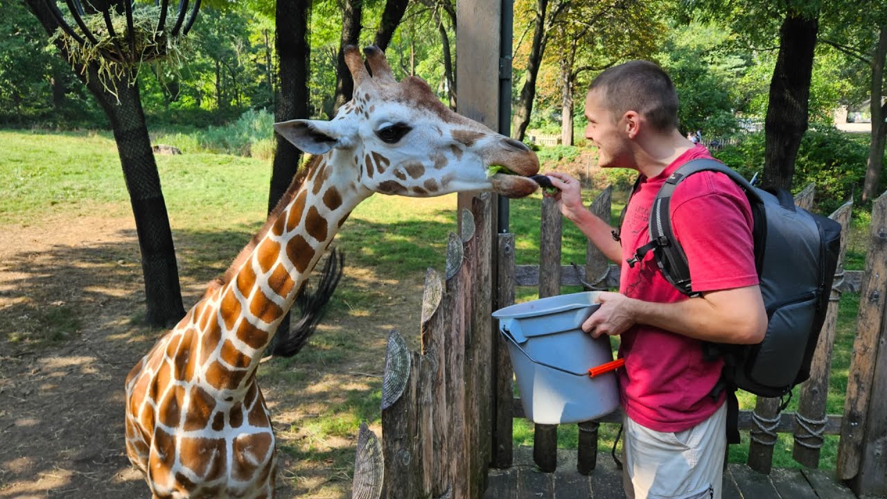 Keeper Cory visits former Fort Wayne Zoo animals at other zoos