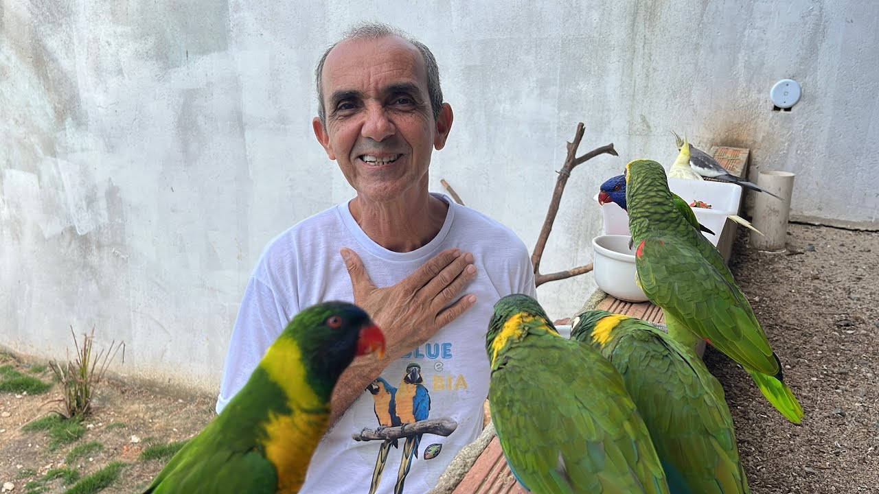 MUDANÇAS E SOLTURA DE AVES NO CRIATÓRIO