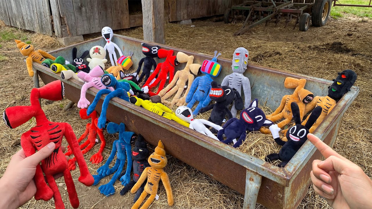The Cow Barn Mystery: Where Are the Siren Head?