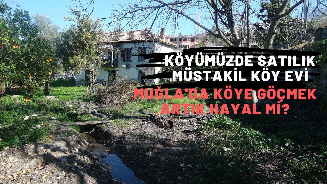 KÖYÜMÜZDE SATILIK BAHÇELİ KÖY EVİ / MUĞLA KÖYLERİ ARTIK HAYAL Mİ OLUYOR? / MUĞLA'DA KÖYE YERLEŞMEK