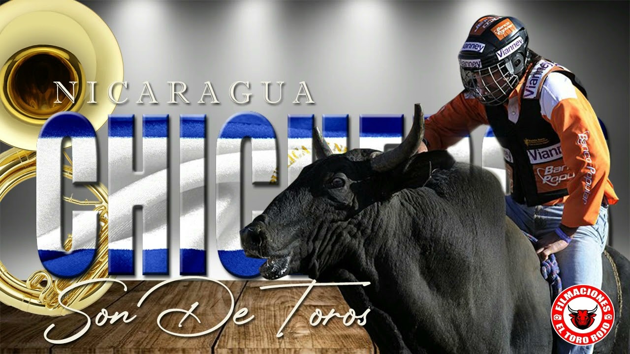 CHICHEROS SON DE TOROS