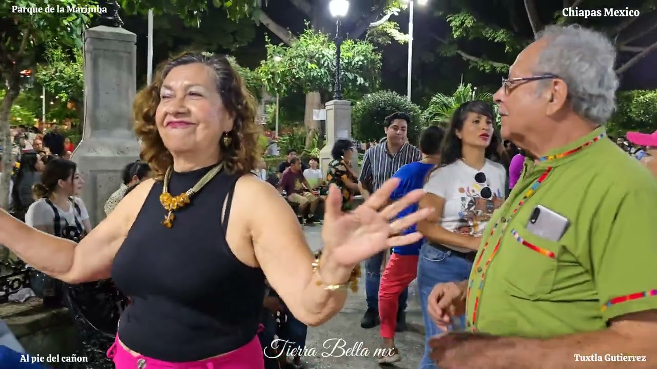 MARIMBA CHIAPAS MIX ( marimba cumbias para bailar )