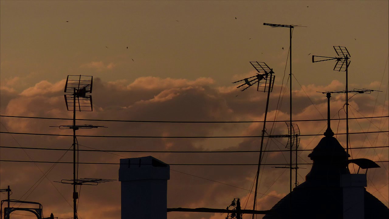 Roger Evernden - A Friday Night in December (Official Video) - Skyline in Valencia