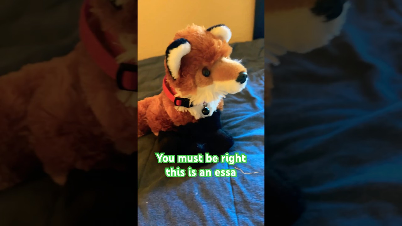 My essa Red #essa #fox #plushie #essaowner