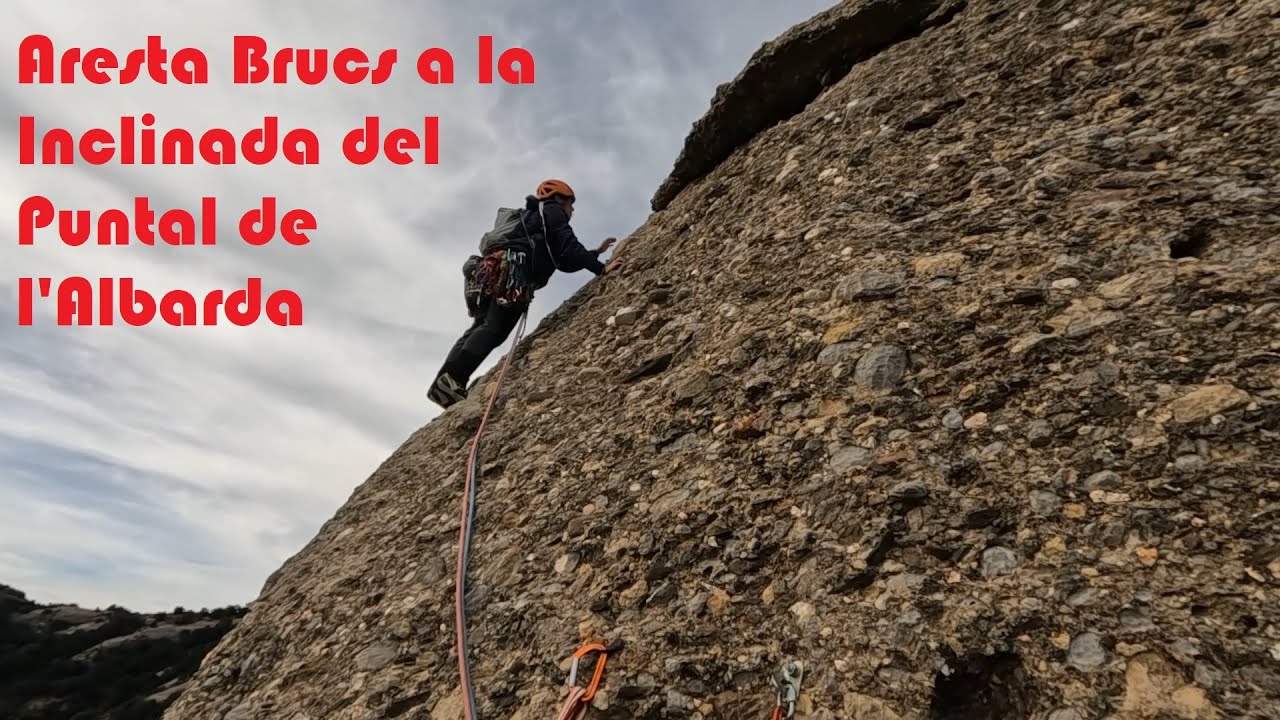 Aresta Brucs a la Inclinada del Puntal de l'Albarda (31.10.2025)