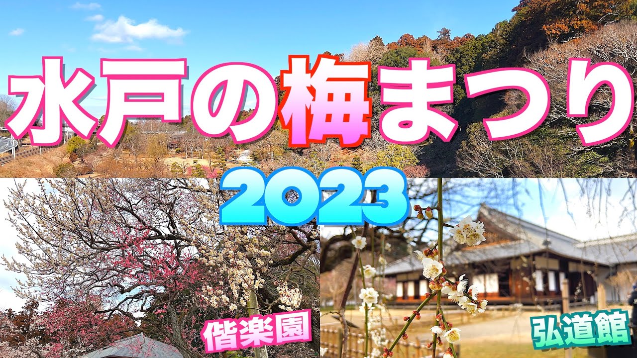 【水戸の梅まつり2023】【偕楽園～弘道館】／【茨城県　水戸市】／４Ｋ／Mito plum festival／Kairakuen, Kodokan