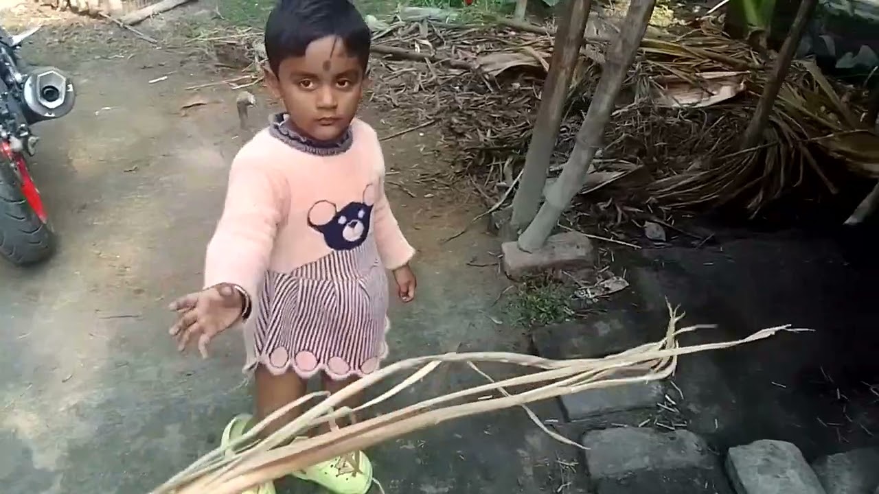 সৃষ্টি গরুকে কলাপাতা খাওয়াচ্ছে। 