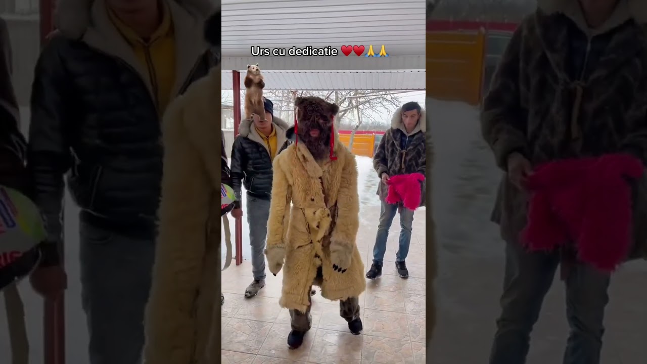 Datini, obiceiuri și traditii  de Anul Nou 