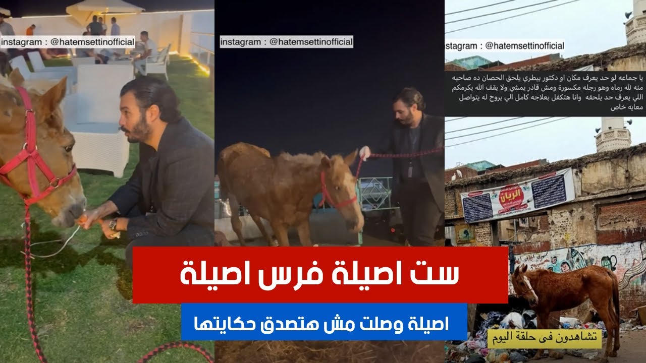 ست اصيلة فرس اصيلة.. اصيلة وصلت مش هتصدق حكايتها  | #٦٠شو_مع_الدكتور_حاتم_ستين