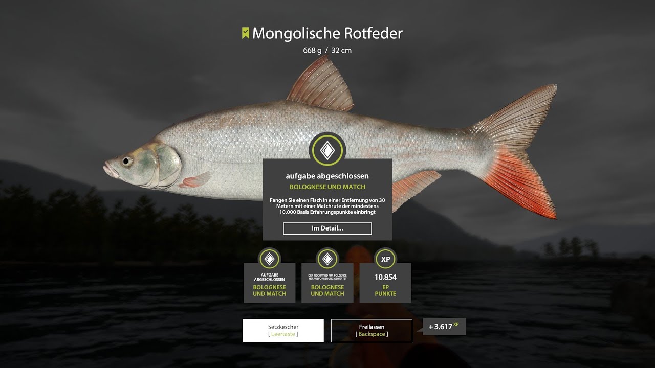 Russian Fishing 4. Der Weg des Match/Stippers. Mit feinem Spinner an der Jama.