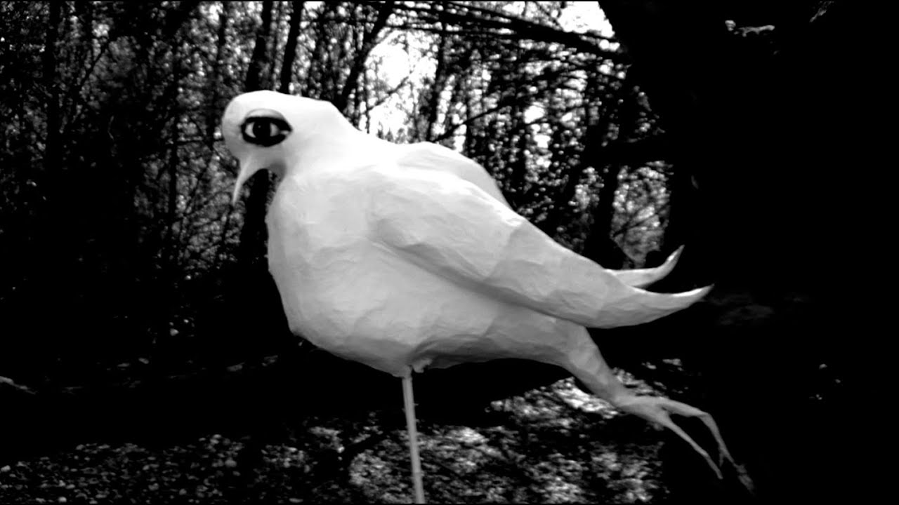 &Ouml;dland - Les yeux de l'oiseau