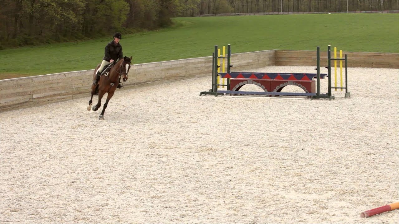 How to See the Perfect Distance (Part 1)