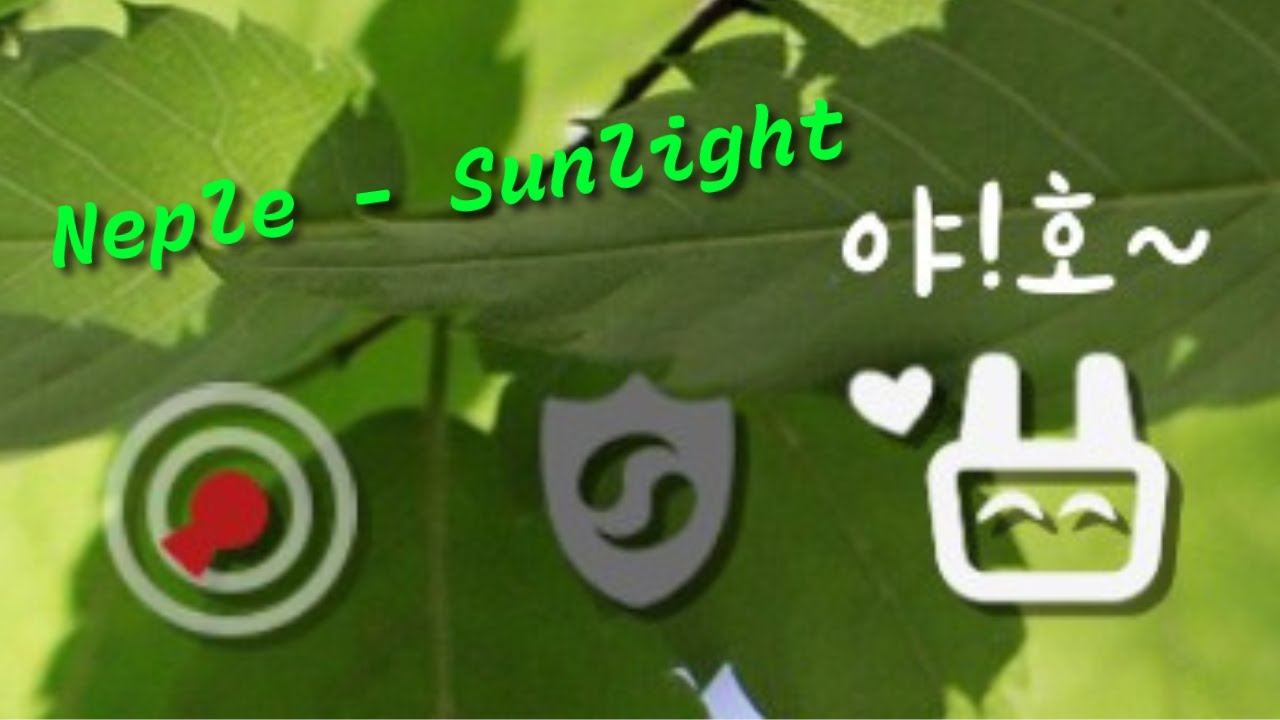 돌아온 멸종위기종 하얀토끼 [ADOFAI Custom #4] Neple - Sunlight