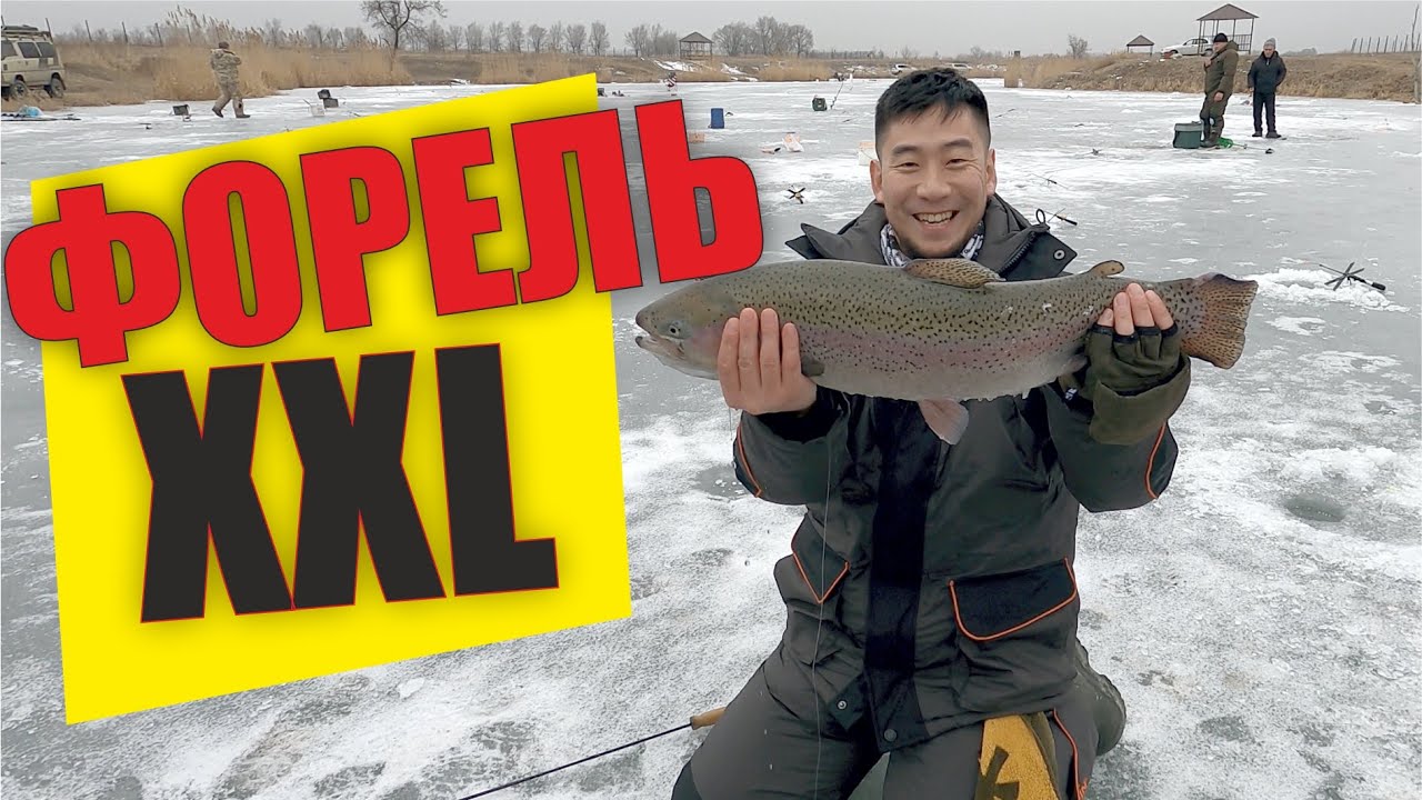 Рыбалка на форель близ Алматы, Озеро 