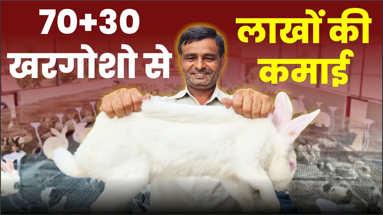 100 खरगोशो से करें लाखों की कमाई |Generate Money From RABBIT Business|