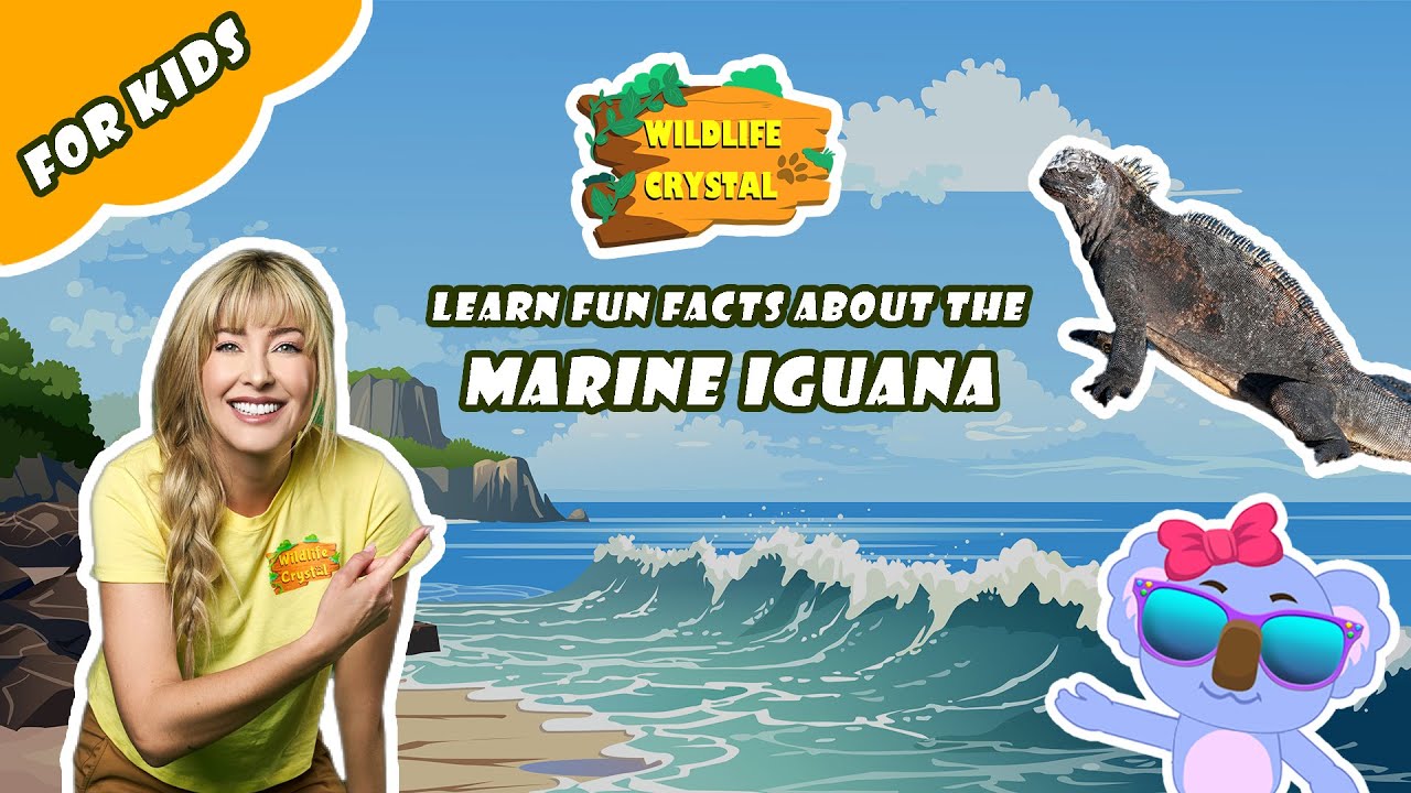 Marine Iguana Facts