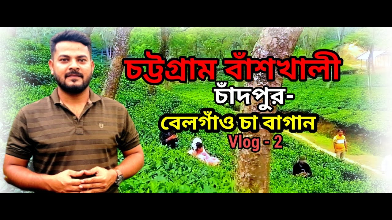 চাঁদপুর বেলগাঁও চা বাগান - Colour Of People
