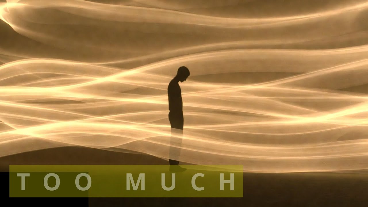 Quiet Essay:  The Paradox Of Infinite Access
