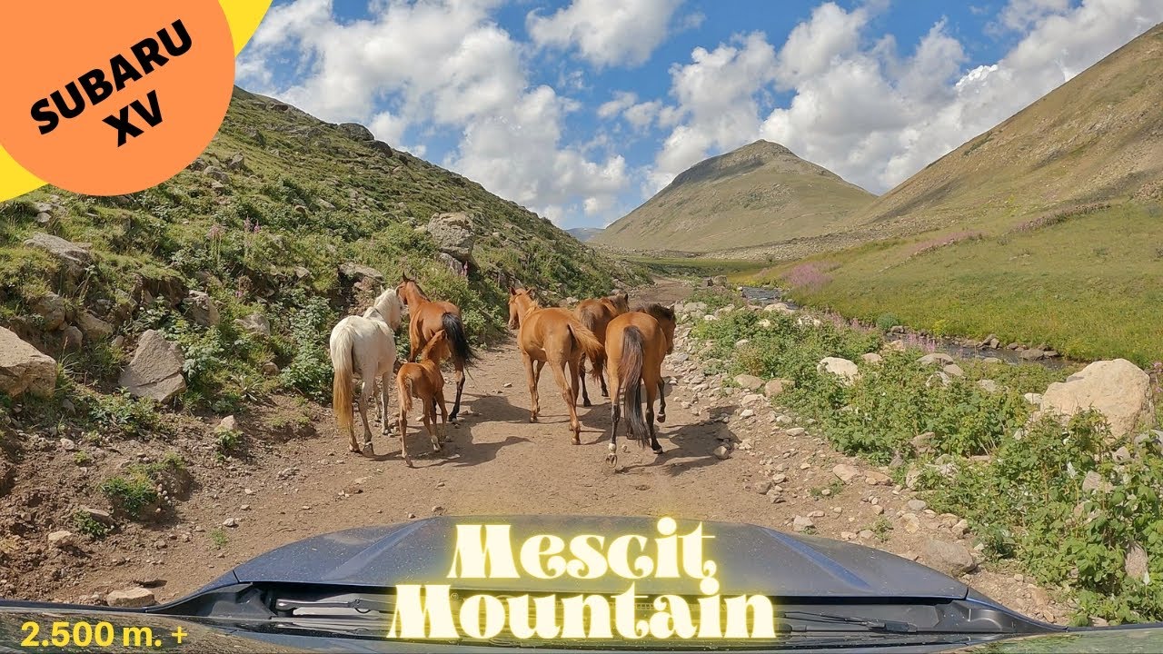 Subaru XV ile Mescit Dağı | Tortum ERZURUM