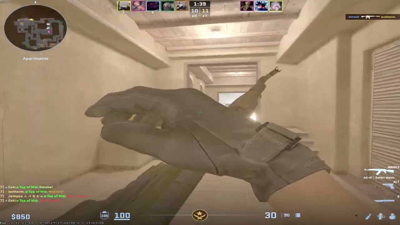 CS2 MONTAGE #5