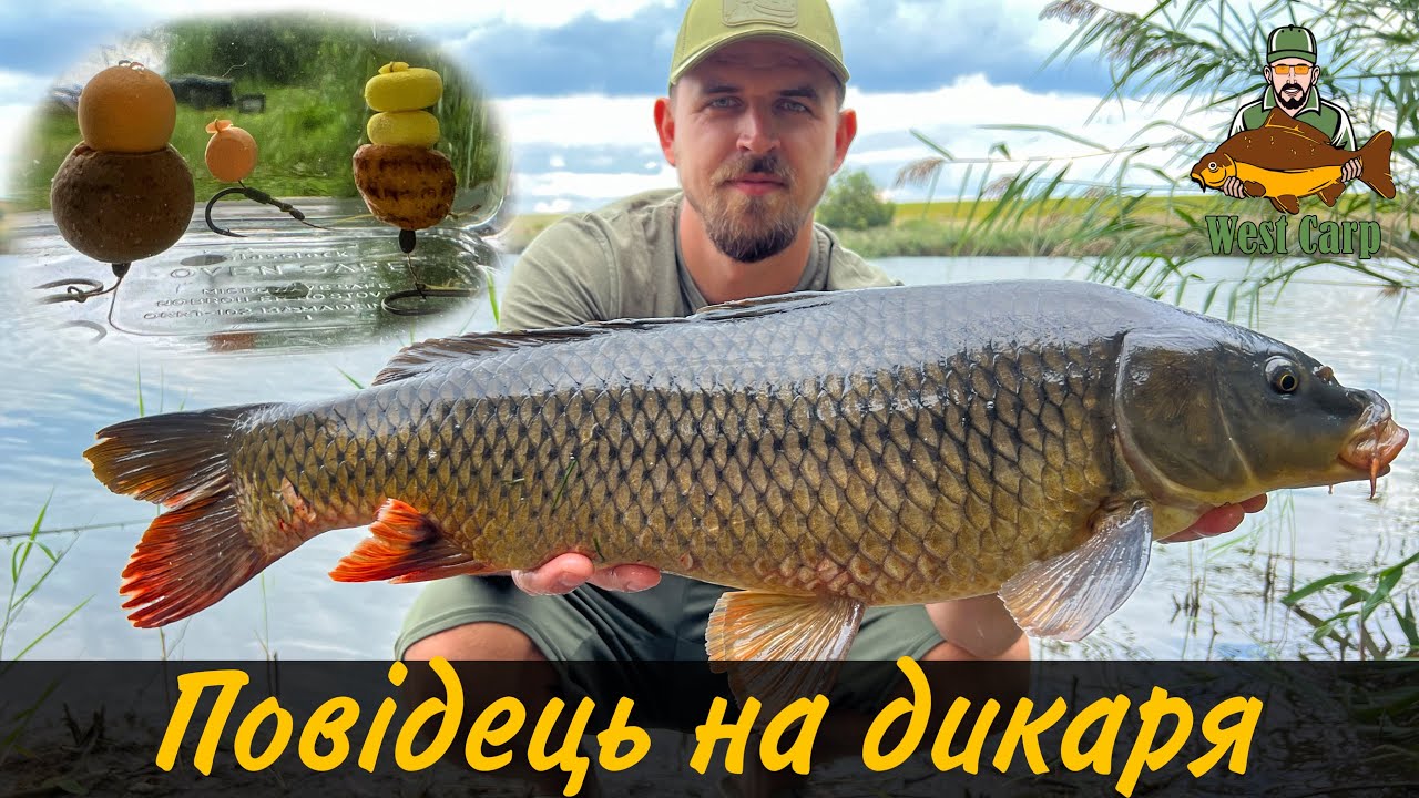 Рибалим на дикій водоймі та в’яжемо повідці з кільце та резинкою)