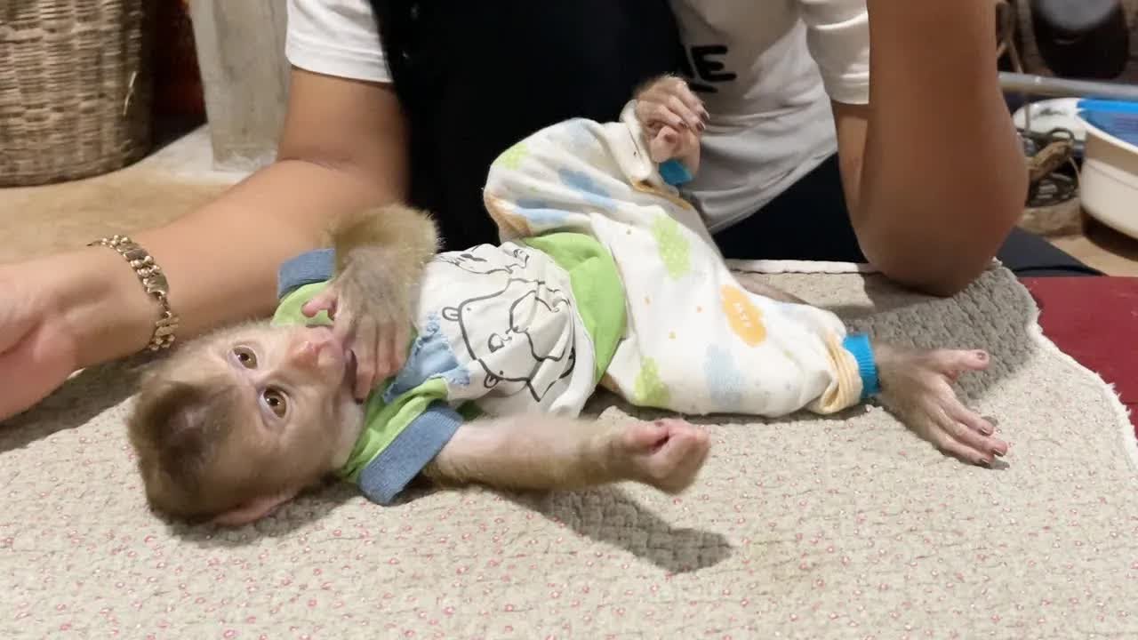 Poor DAM Sleep Stare Mom Very Hungry Drink Milk