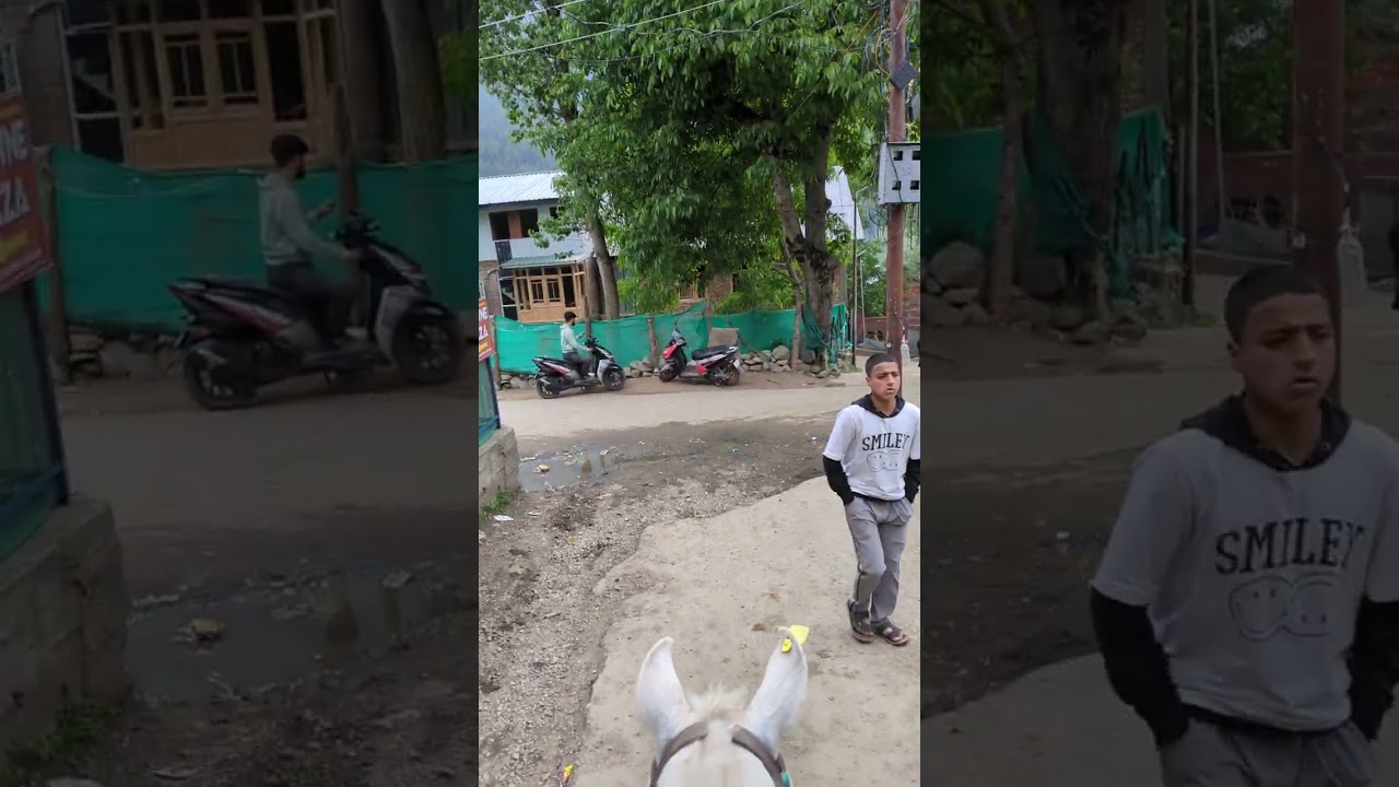 Pahalgam Pony Ride Experience | Exploring Kashmir's Valleys on Horseback | Kashmir 2025