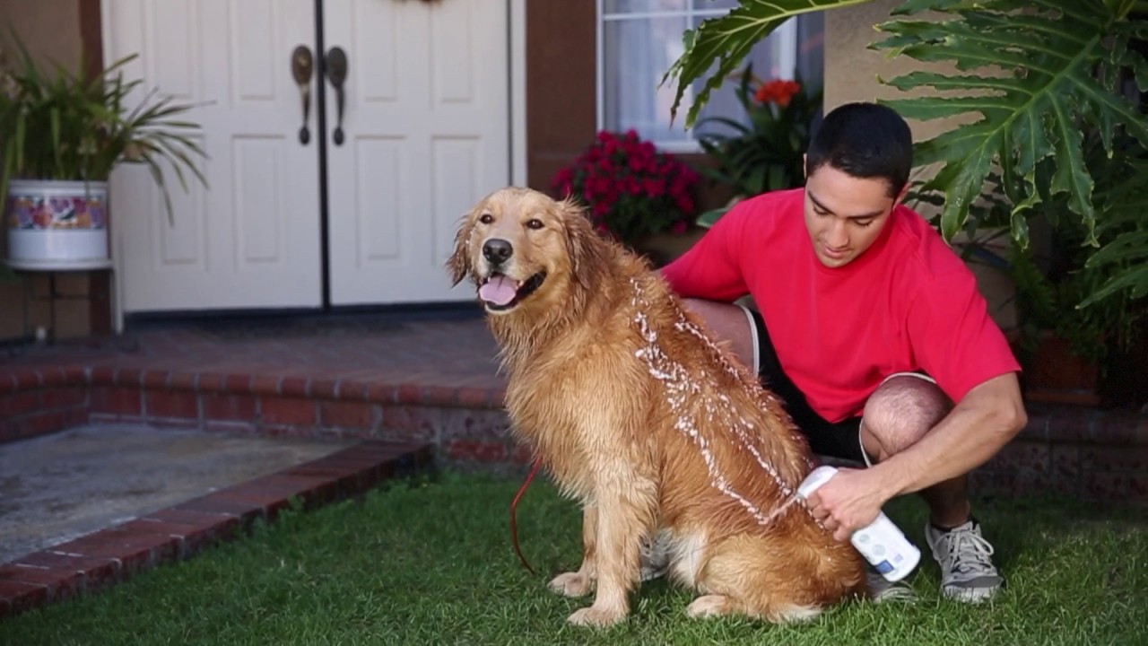 Vetericyn FoamCare Pet Shampoo Overview