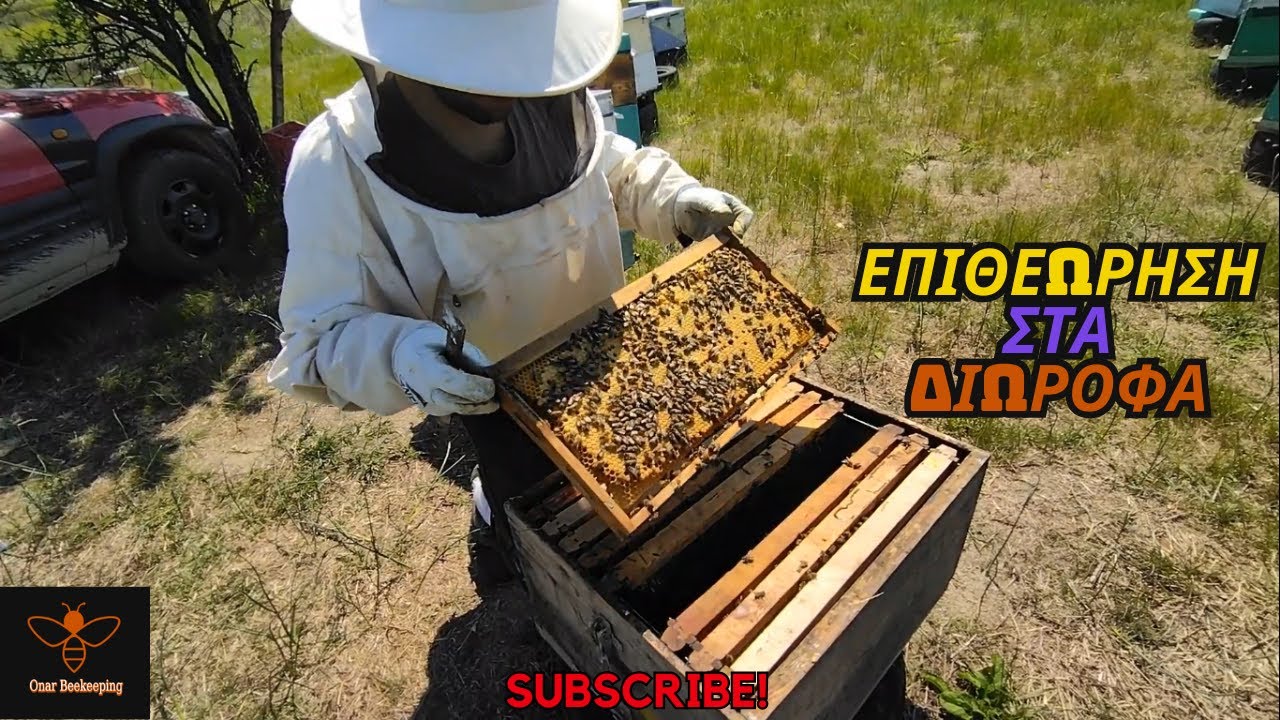Eπιθεώρηση στα Διώροφα Mελίσσια (12/04 )| Άνοιξη 25' | Μελισσοκομία Όναρ