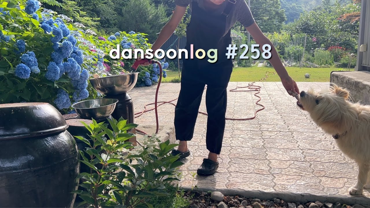 SUB 단순로그258 감성은 사라지고 먹성만 남은 시골 푸드파이터 일상vlog