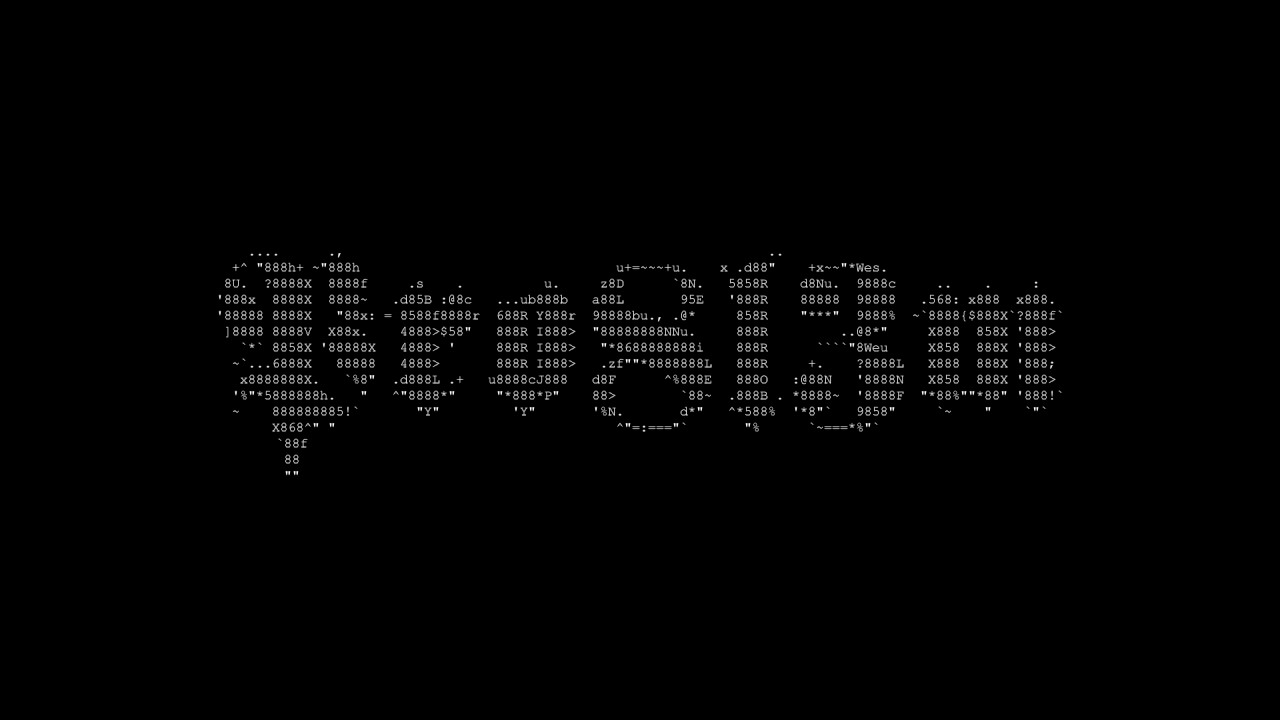 PRO8L3M - World Wide Web