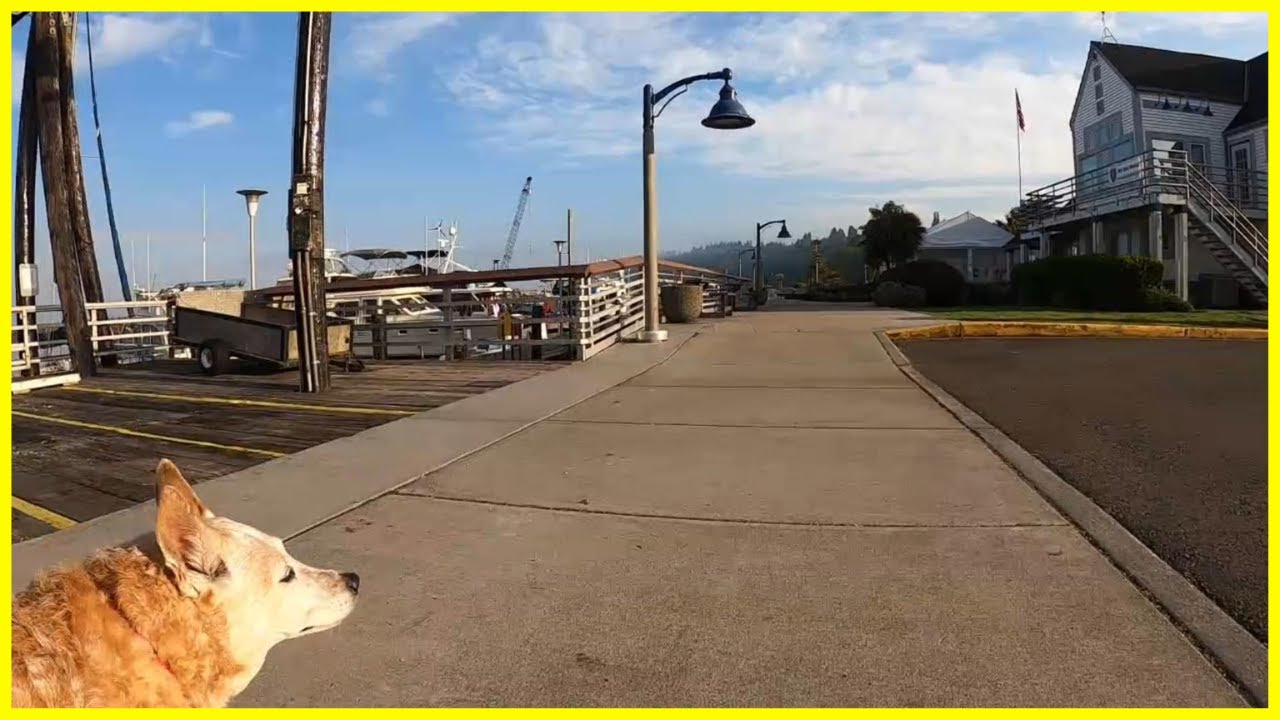 🎶Ruby Walk to the Marina & Through the Forest / Relaxing Music & Nature Dog Walk