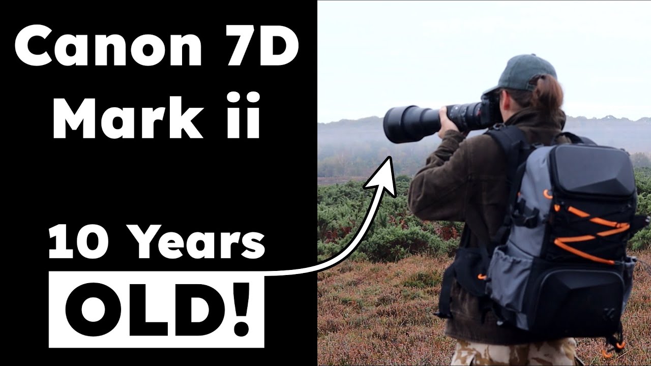 Are You Wasting Money on NEW Cameras When an OLD One Will Do?