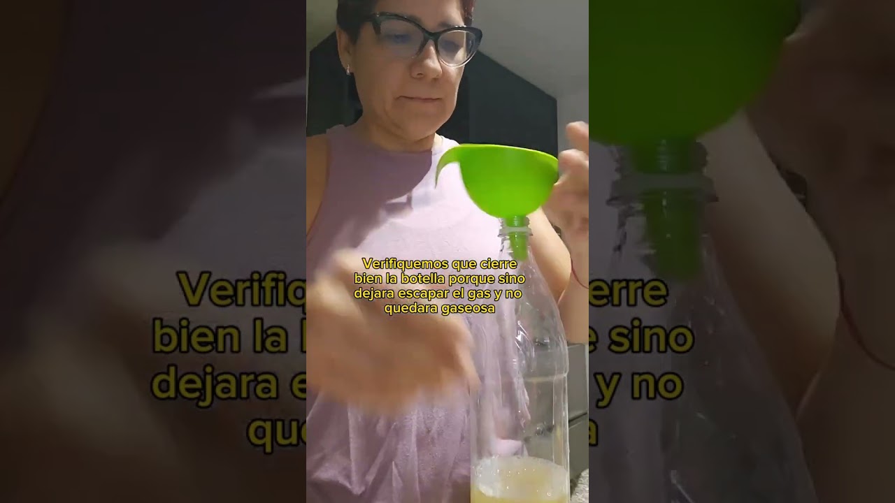 Soda enzimática [bebida fermentada gaseosa]