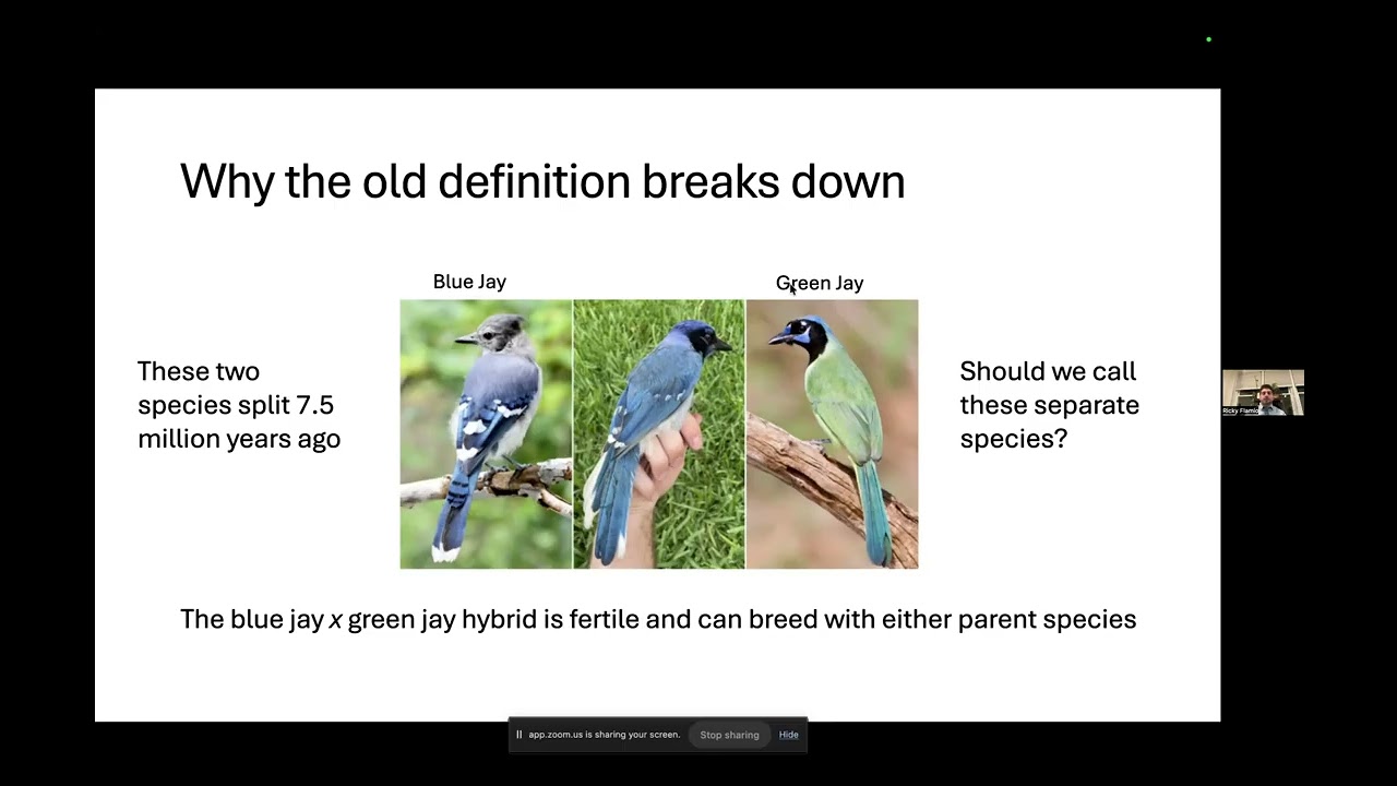 Splitting Feathers: How Genetics Is Redefining Bird Classification - Ricky Flamio
