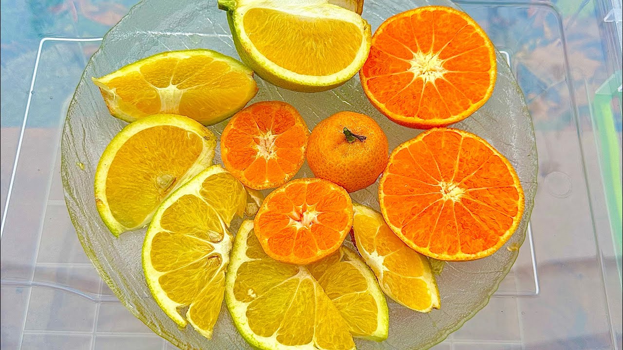 Теплиці для цитрусів🍋🍊екзотів🥑🥭та квітів🌺🌸