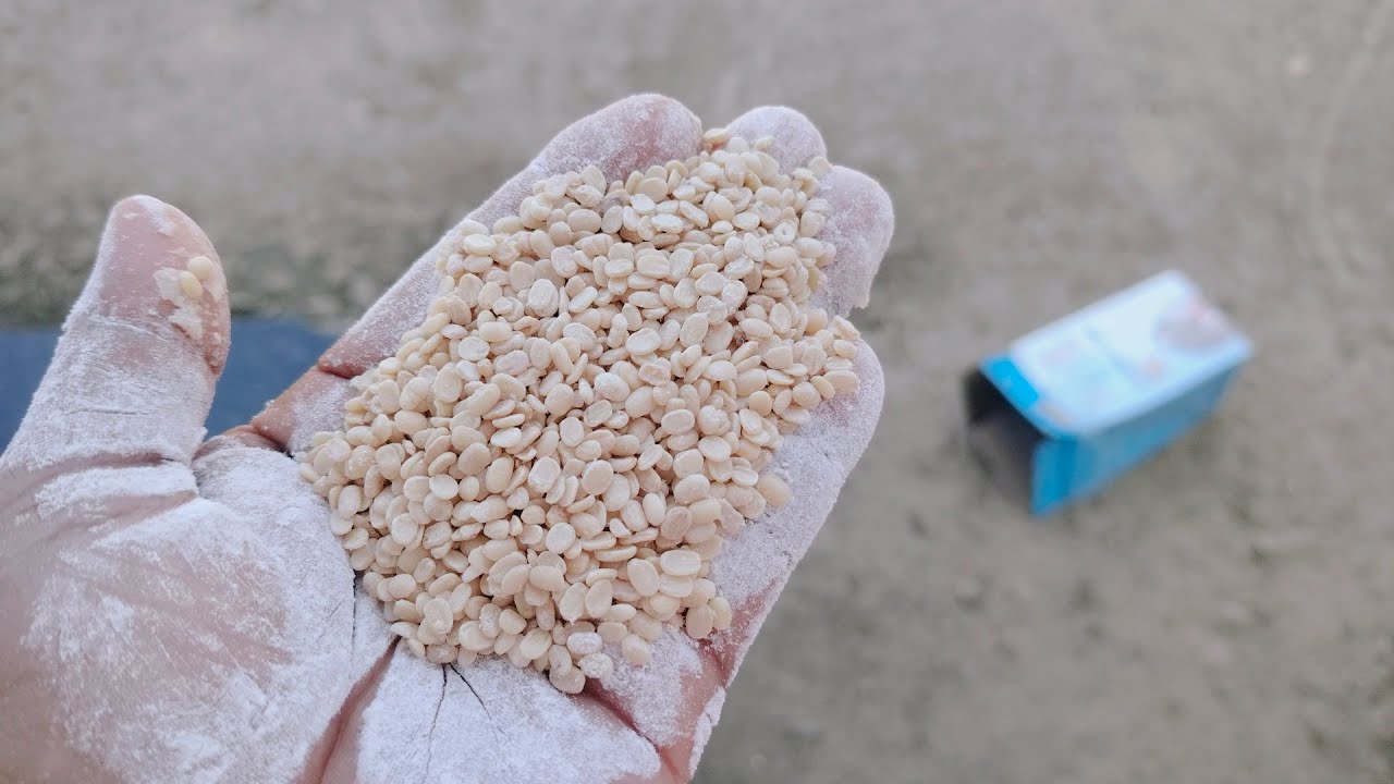 स्पेशल उडदाच्या डाळीचे पापड आपल्या रानातील तुरीची डाळ गुलाबजामून व आपलं माऊली तूप संपर्क ७०२०१८४६२१ 