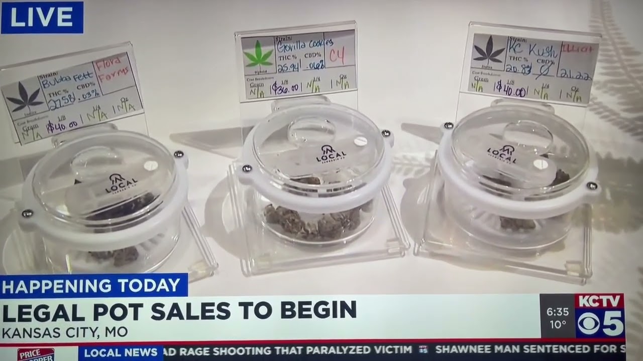 Local Cannabis goes Recreational - Live on KCTV-5 Morning News (2.3.2023)
