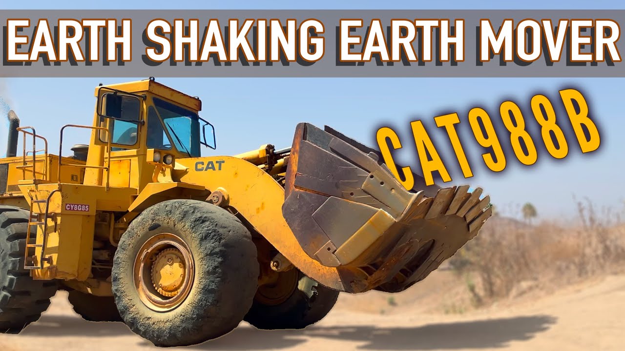 My Neighbors New Toy -  CAT988B