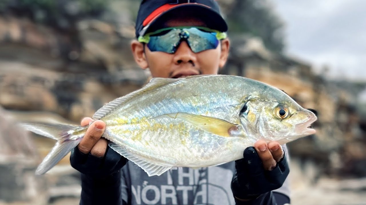 Ledge fishing sydney / mancing tebing sydney - silver travlly (fishing NSW)