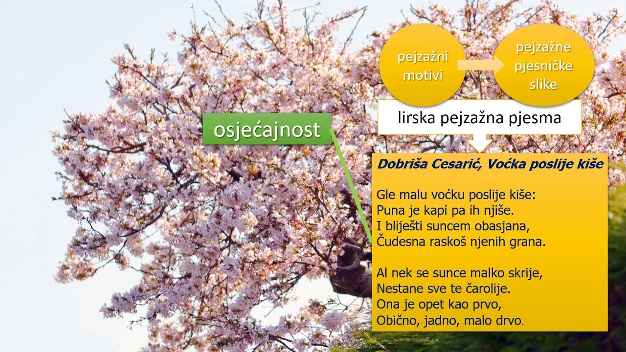 Virtualno o književnosti: Analiza proznog teksta