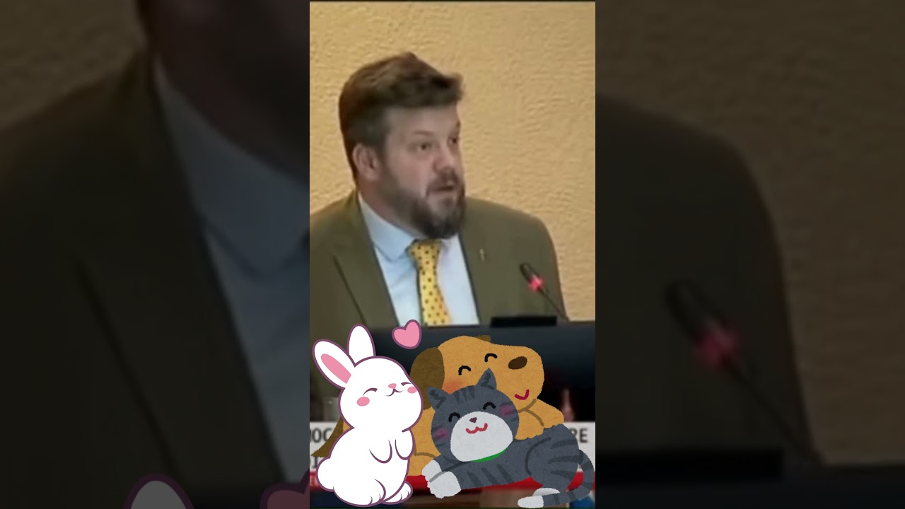 Derechos animales  #johanneskaiser #anticomunismo #kaiserpresidente #perritos #chile #chilenas