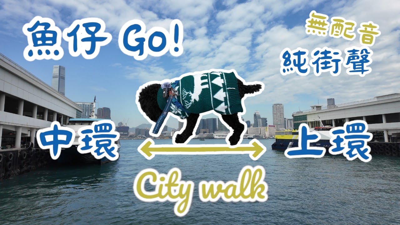 〖魚仔Go！〗Hong Kong City Walk | Central to Sheng Wan | 城市漫遊 |中環碼頭到上環卜公公園|城市白噪音〖WeareBlackWhiteGrey黑白灰〗