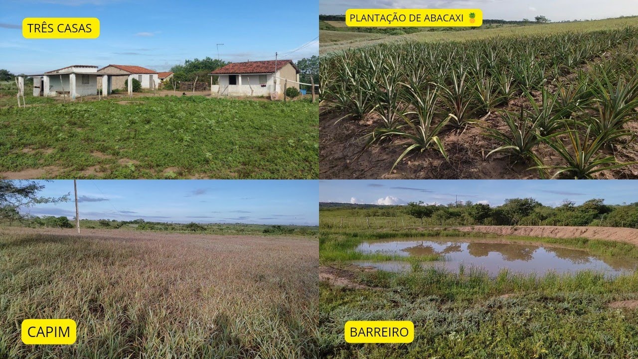 SÍTIO TOP À VENDA EM GLÓRIA DO GOITÁ PERNAMBUCO + DE 8 HECTARES